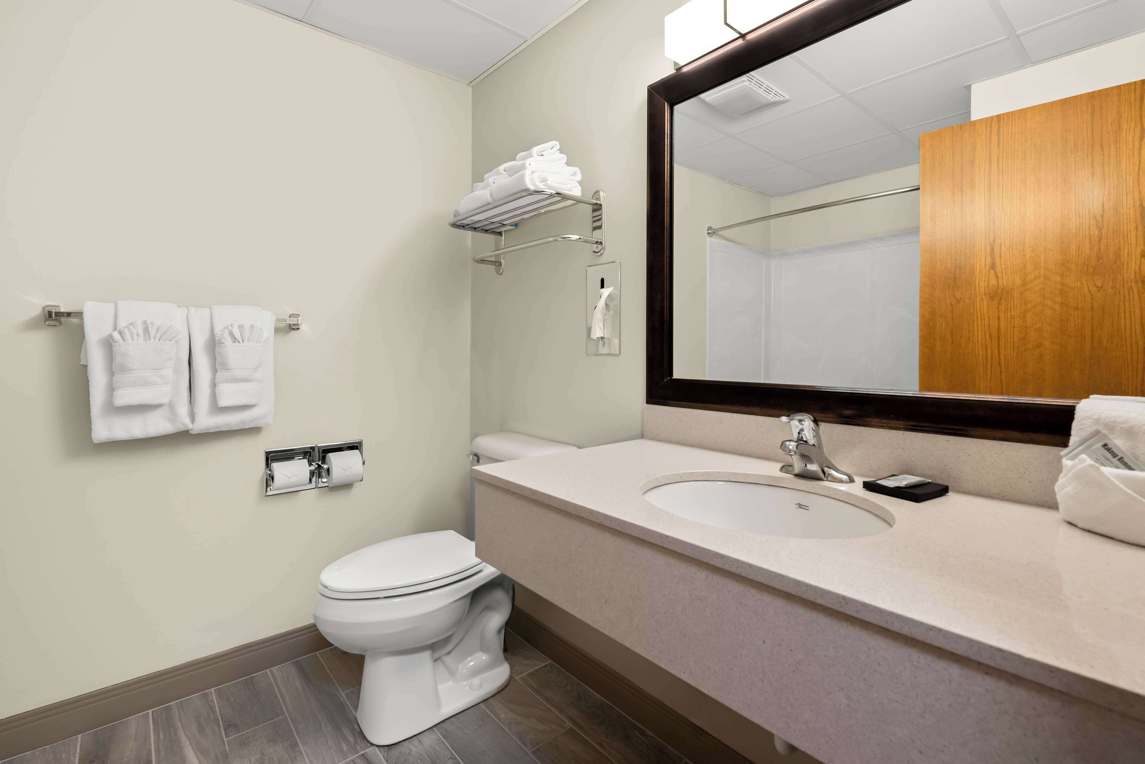 combined shower/bathtub, free toiletries, hair dryer, towels