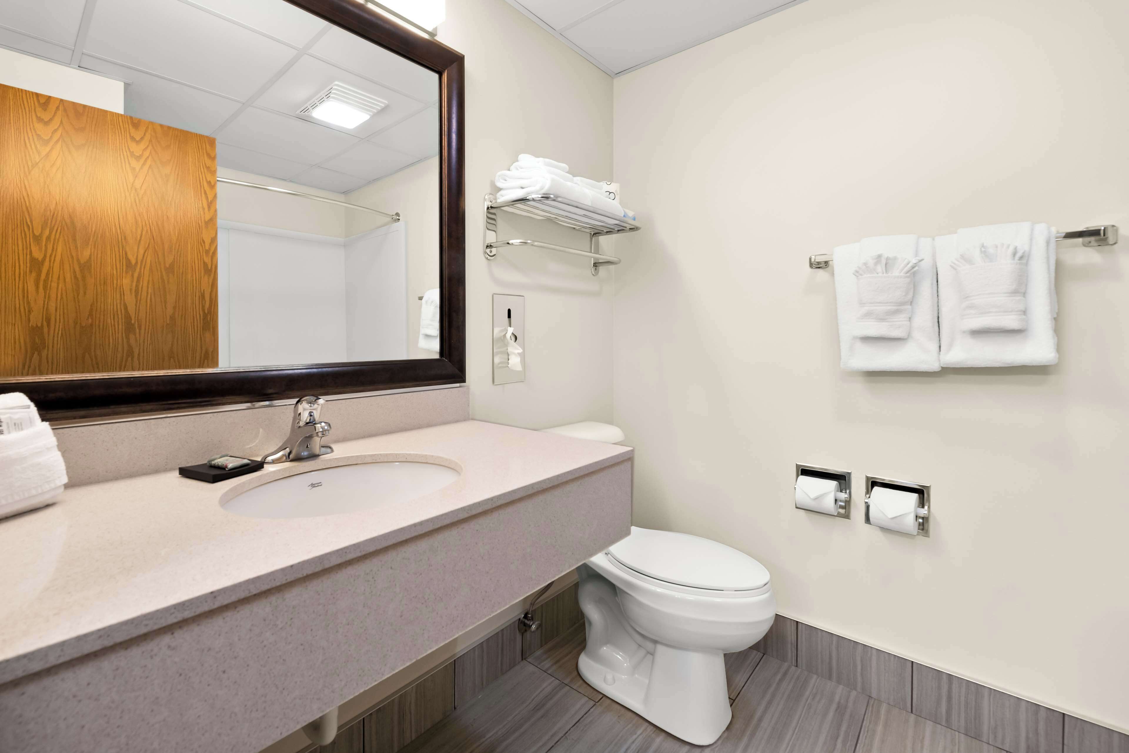 A modern bathroom with a large mirror, a sink, a toilet, and towel racks.
