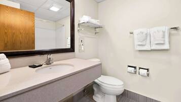 A modern bathroom with a large mirror, a sink, a toilet, and towel racks.