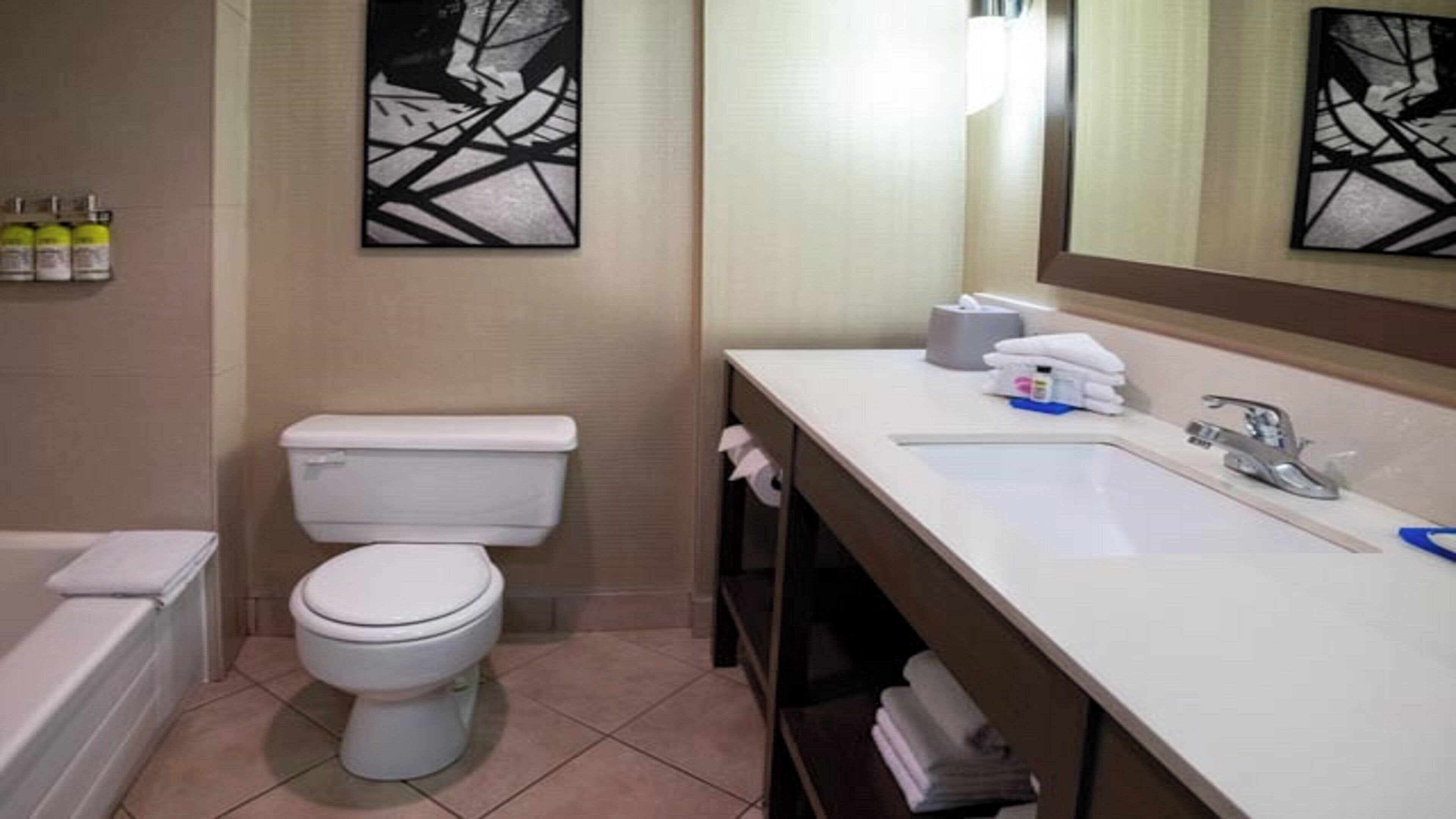 A bathroom with a toilet, sink, and mirror.