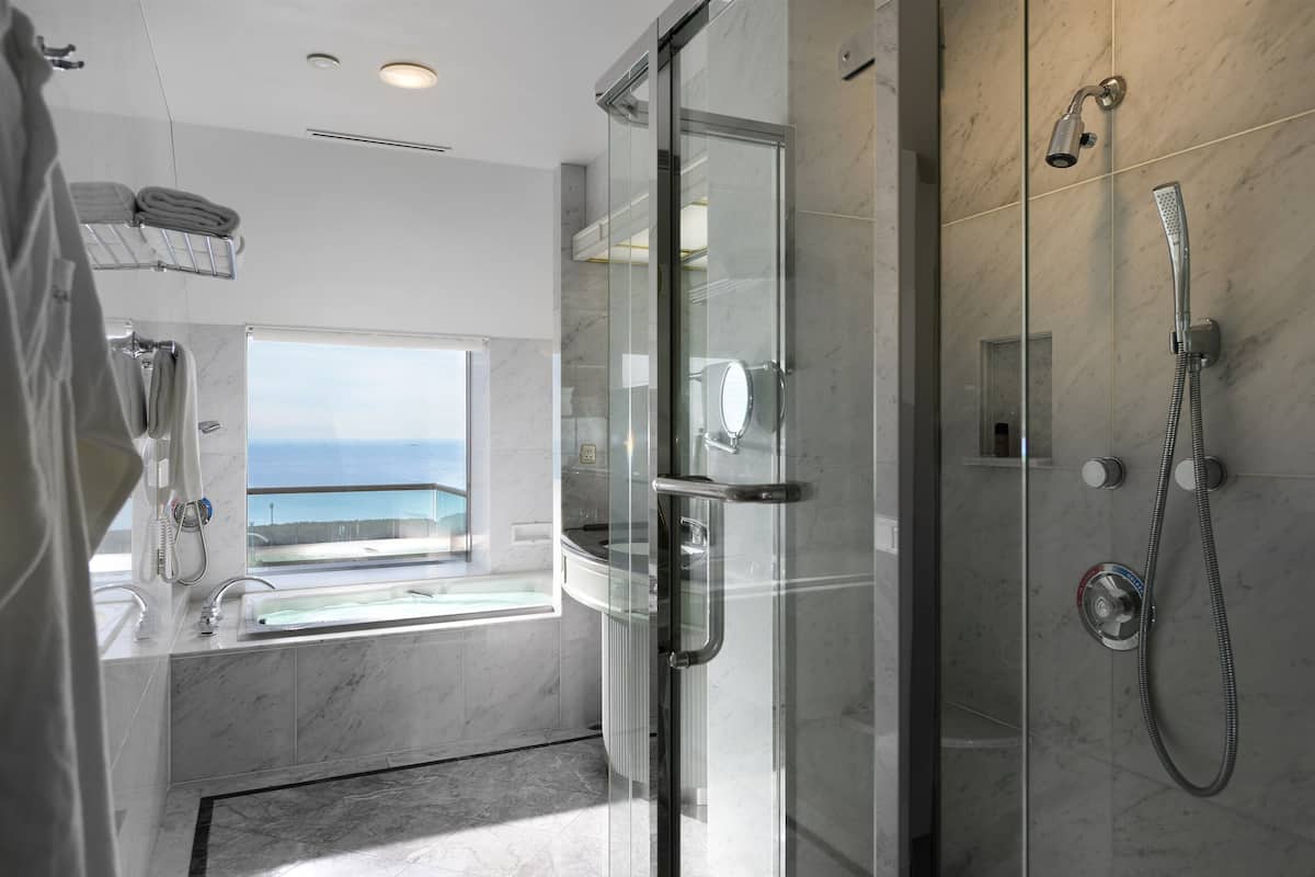 combined shower/bathtub, free toiletries, hair dryer, slippers