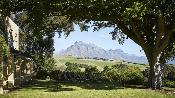 A building with a lawn and chairs, a large tree, and a mountain in the background. - The Devon Valley Hotel (Stellenbosch)