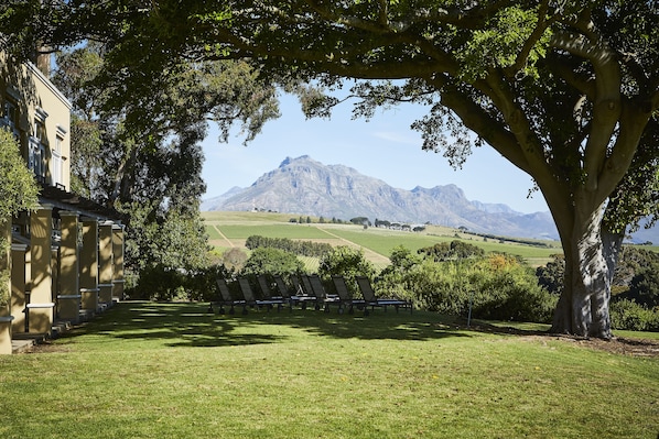 1 chambre, coffres-forts dans les chambres, bureau, rideaux occultants