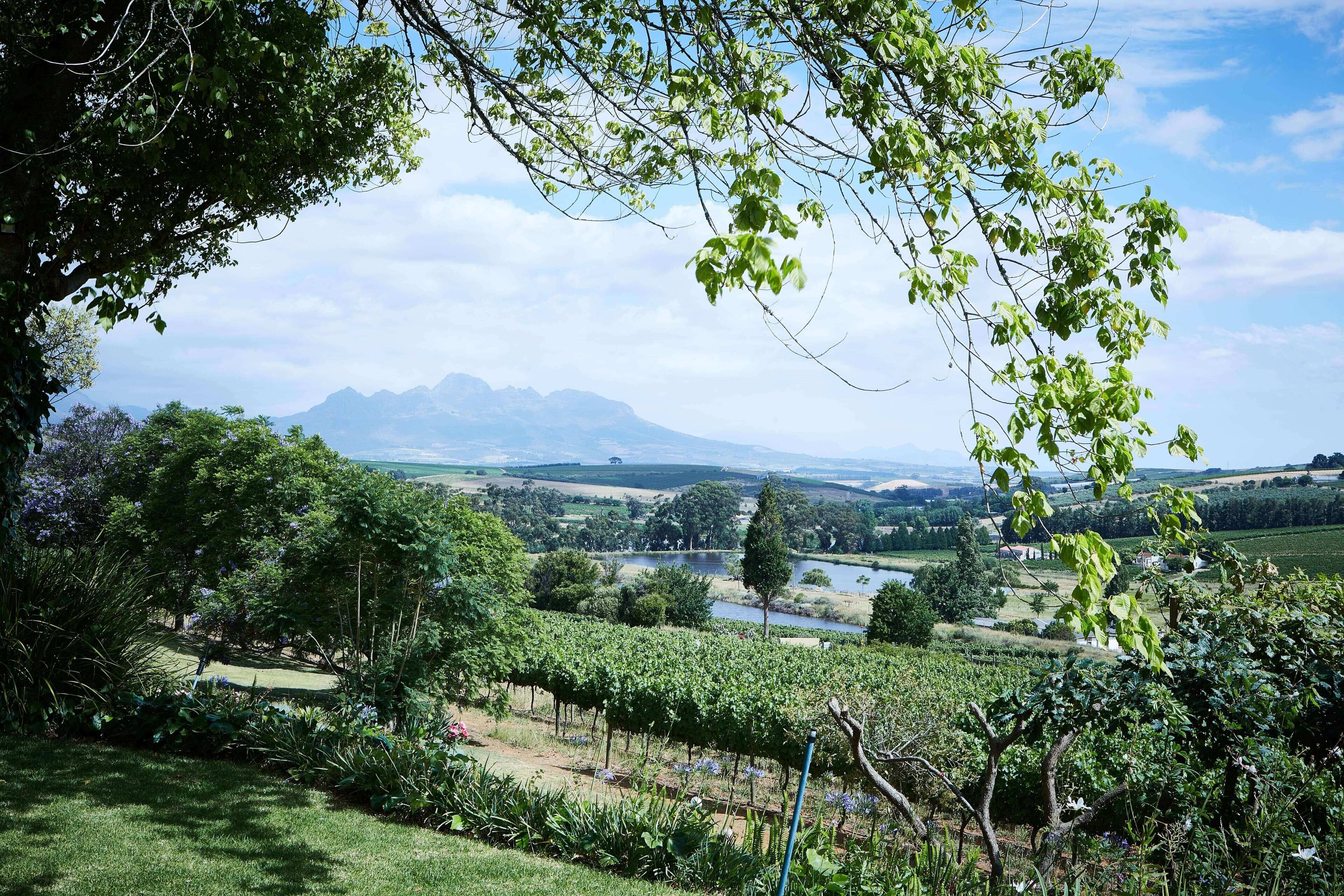 city view from property