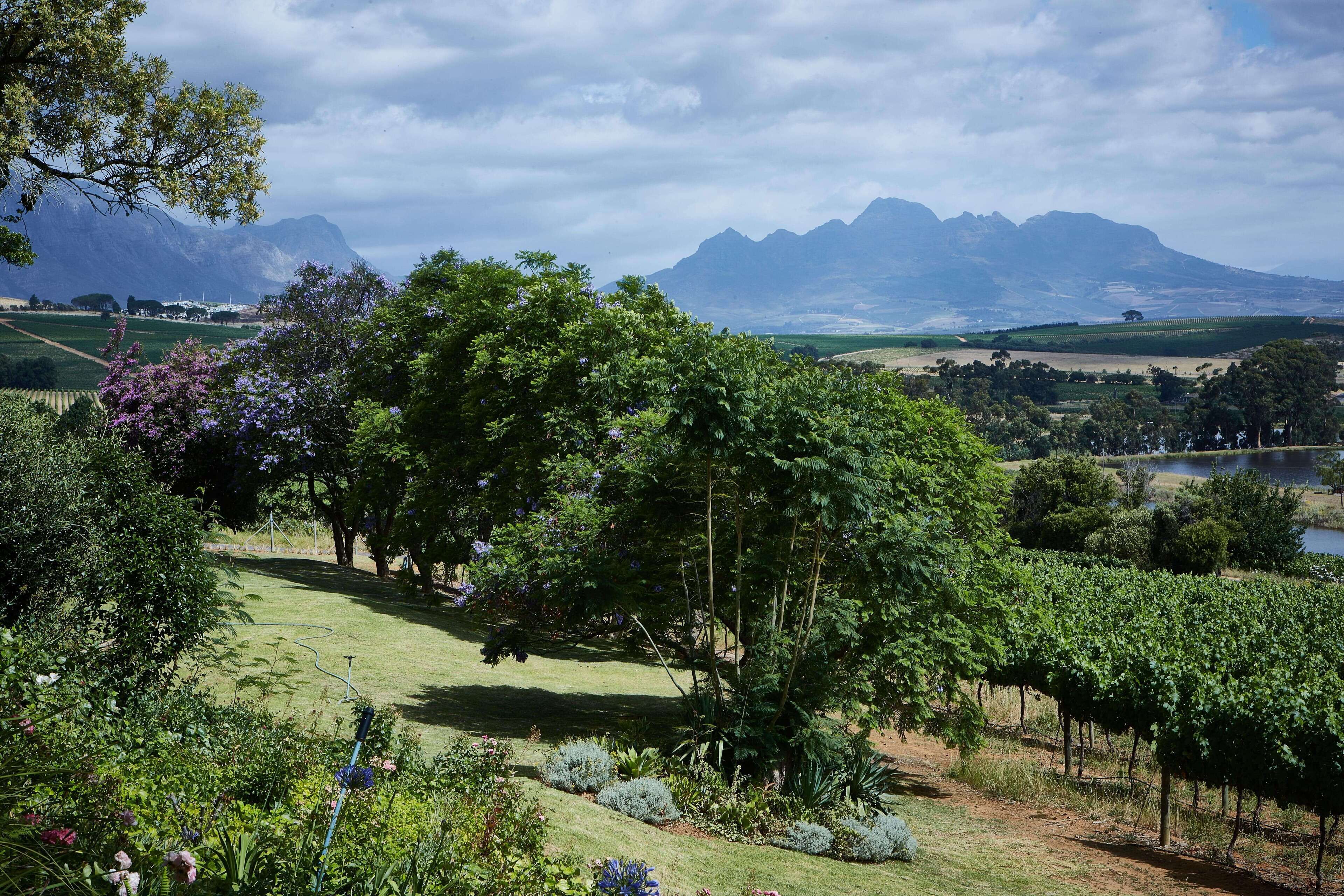 children’s activities