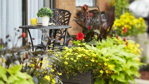 A patio with a table and chairs, surrounded by potted plants and flowers.