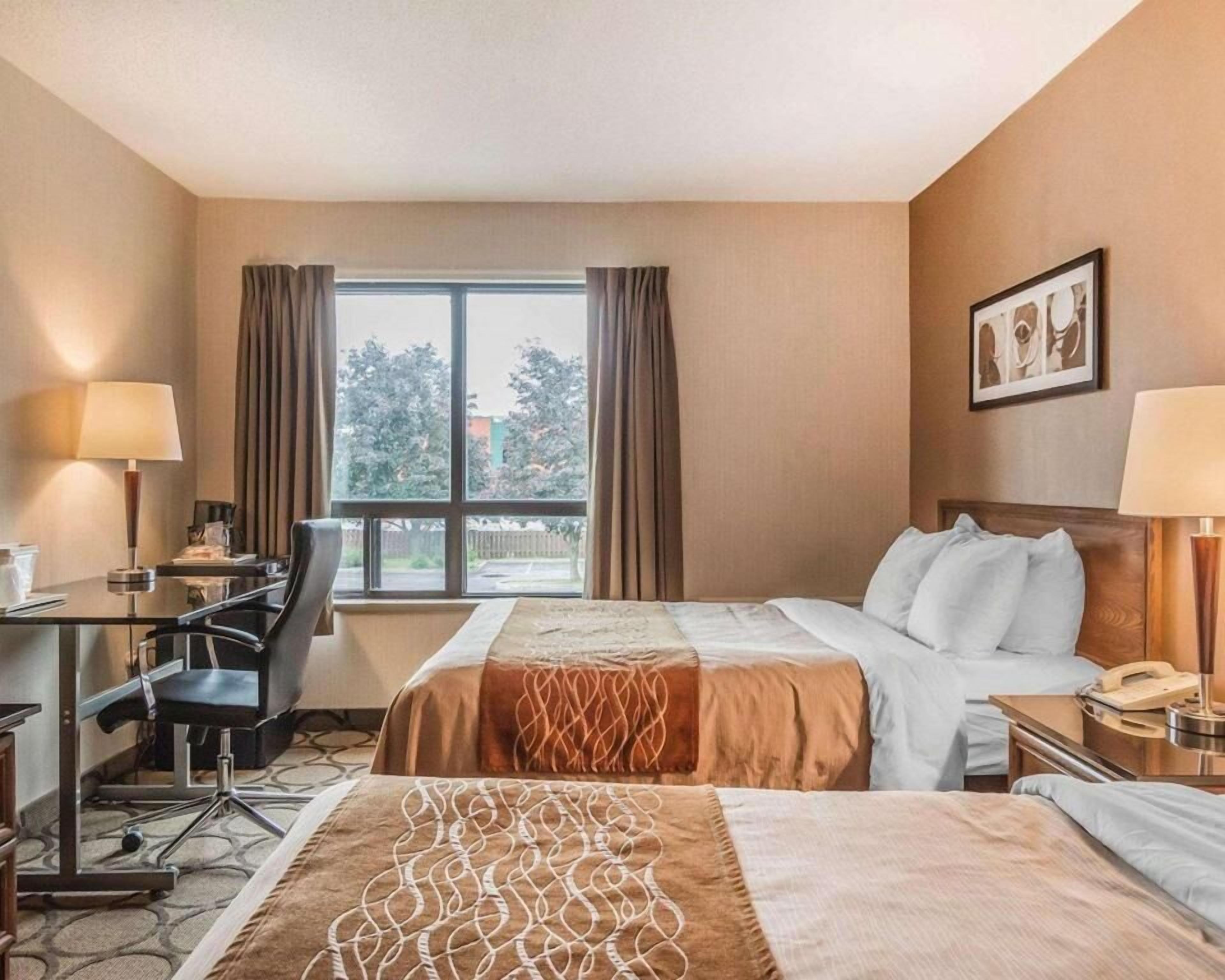 Premium bedding, pillow-top beds, desk, blackout curtains