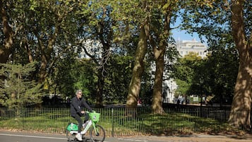 Eine Person fährt ein grünes Fahrrad mit Korb auf einem befestigten Weg.