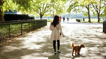 Ein gepflasterter Weg mit Bäumen, einem Zaun und einer Person, die einen Hund ausführt.