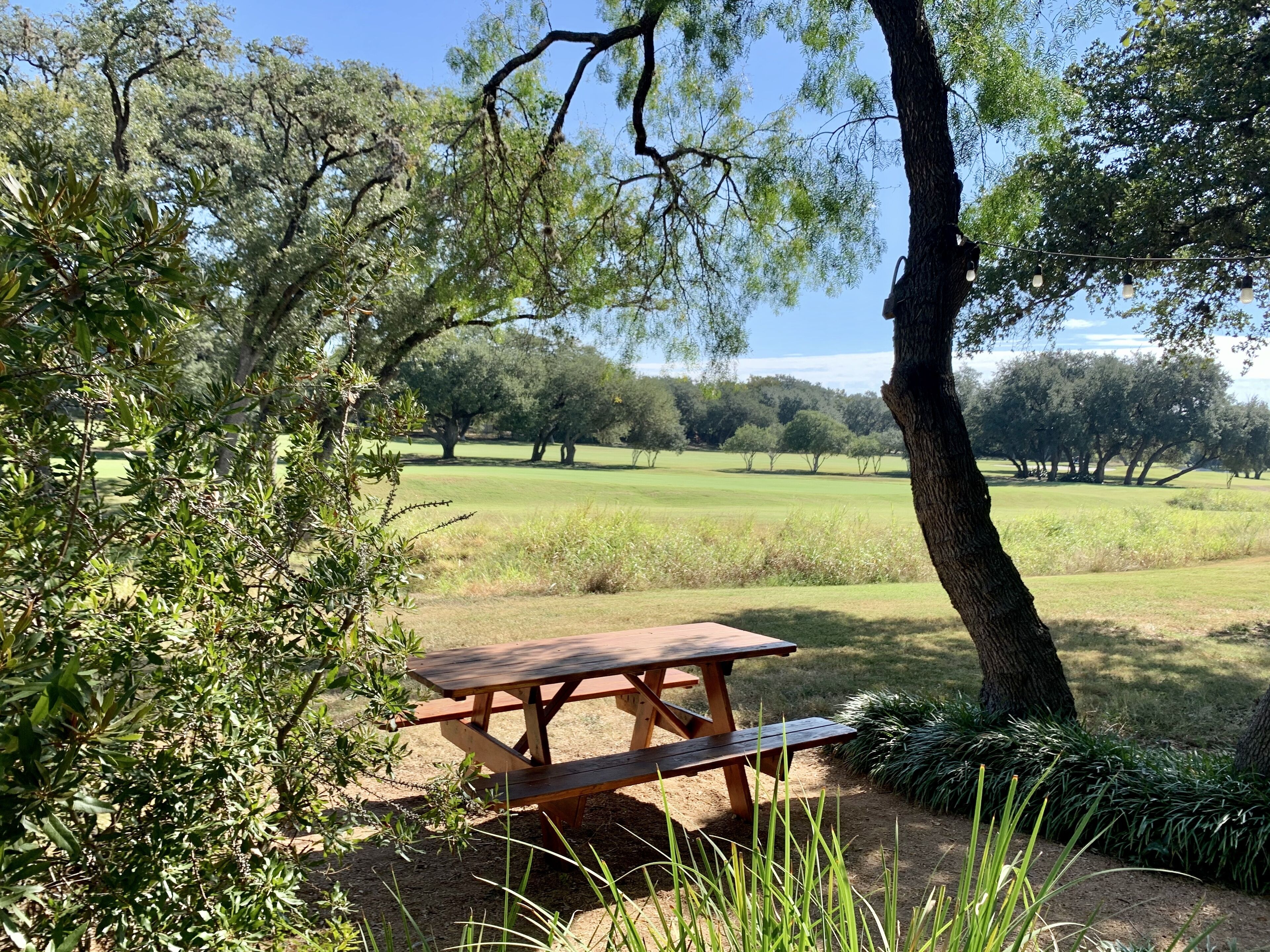 Foto - Hyatt Regency Hill Country Resort and Villas