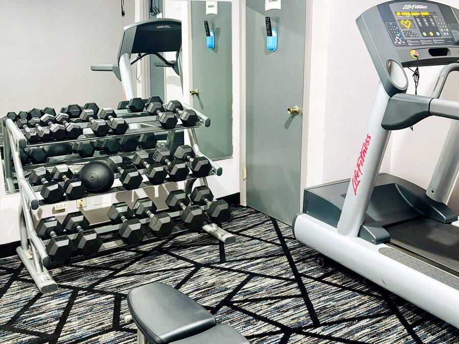 Une salle de sport équipée de matériel d’exercice, notamment des haltères, un tapis de course et un banc.
