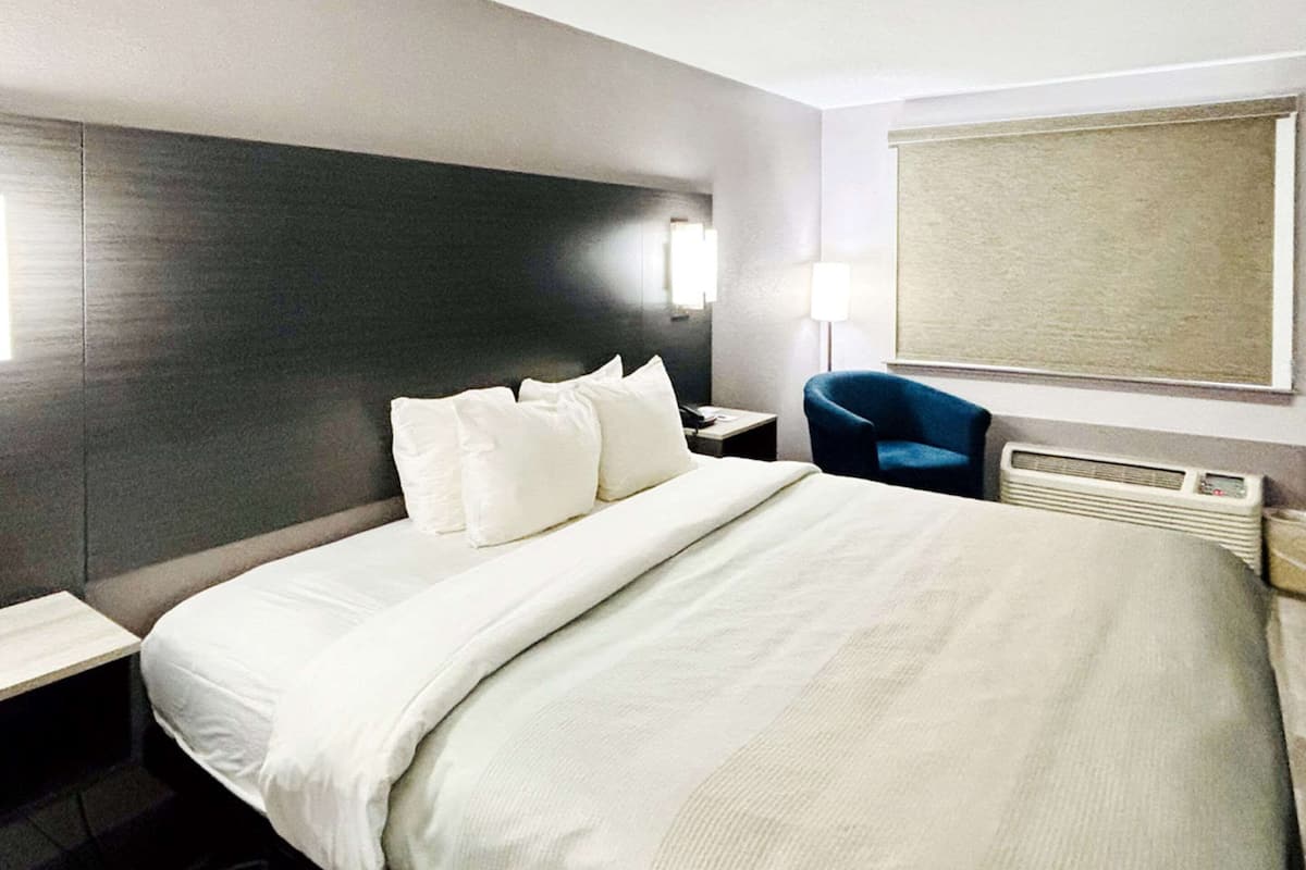 Standard Room, 1 King Bed, Non Smoking