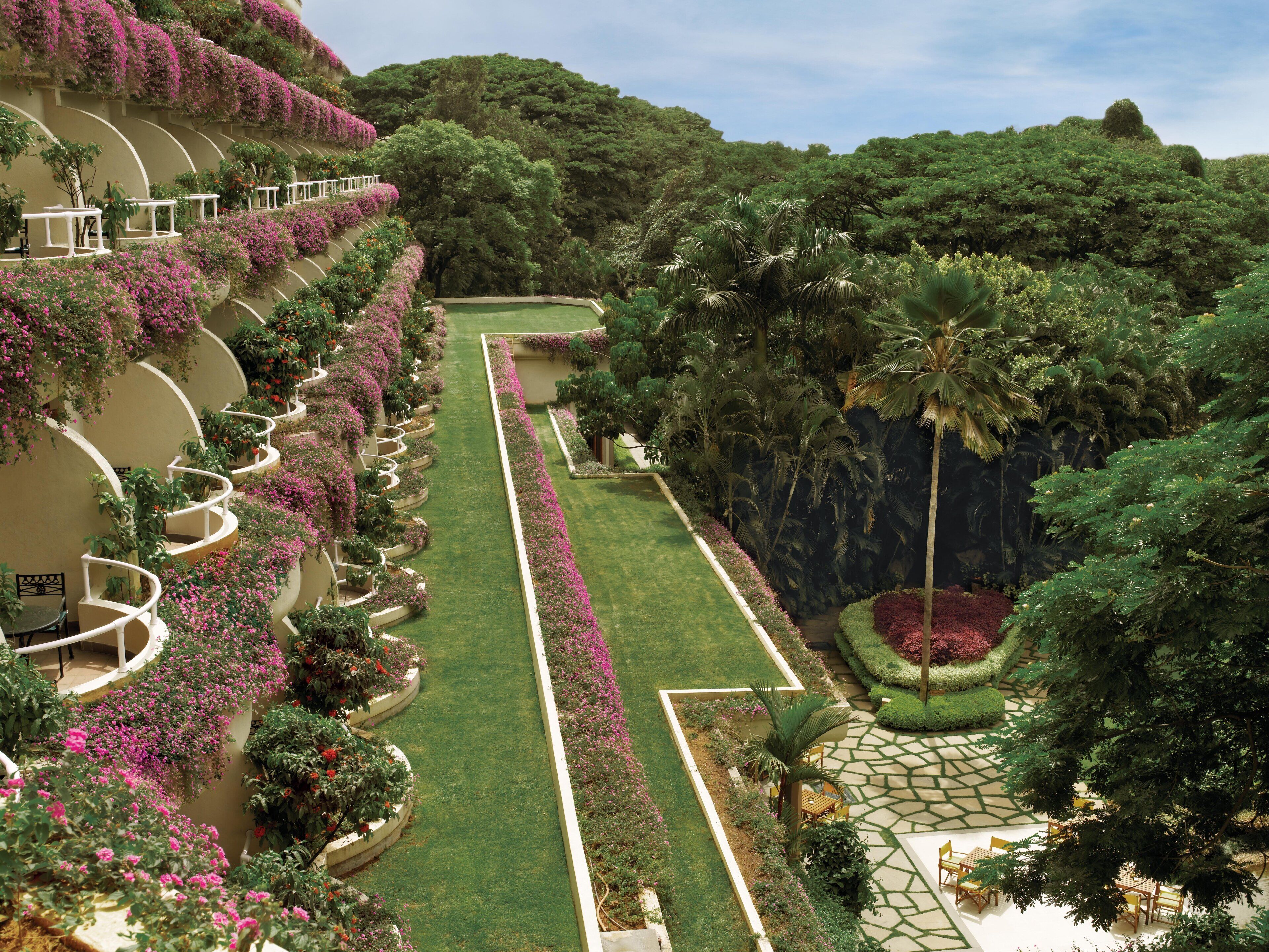 Un exuberante jardín con un sendero central, rodeado de abundante vegetación y plantas en flor.
