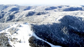 Un paysage montagneux enneigé, avec de vastes forêts et un sentier bien tracé.