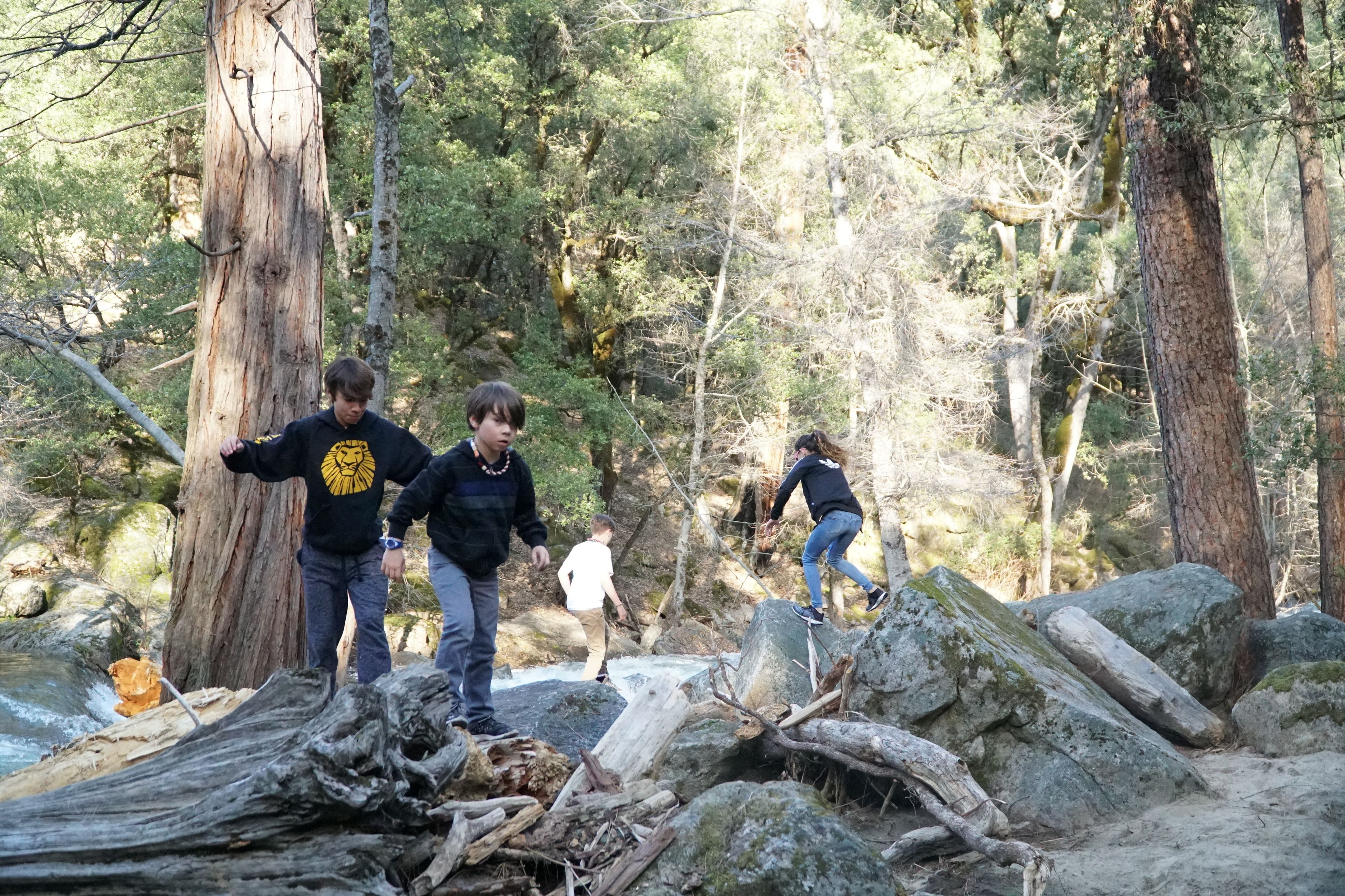 A group of people navigating a rocky terrain with trees and a stream in the background.