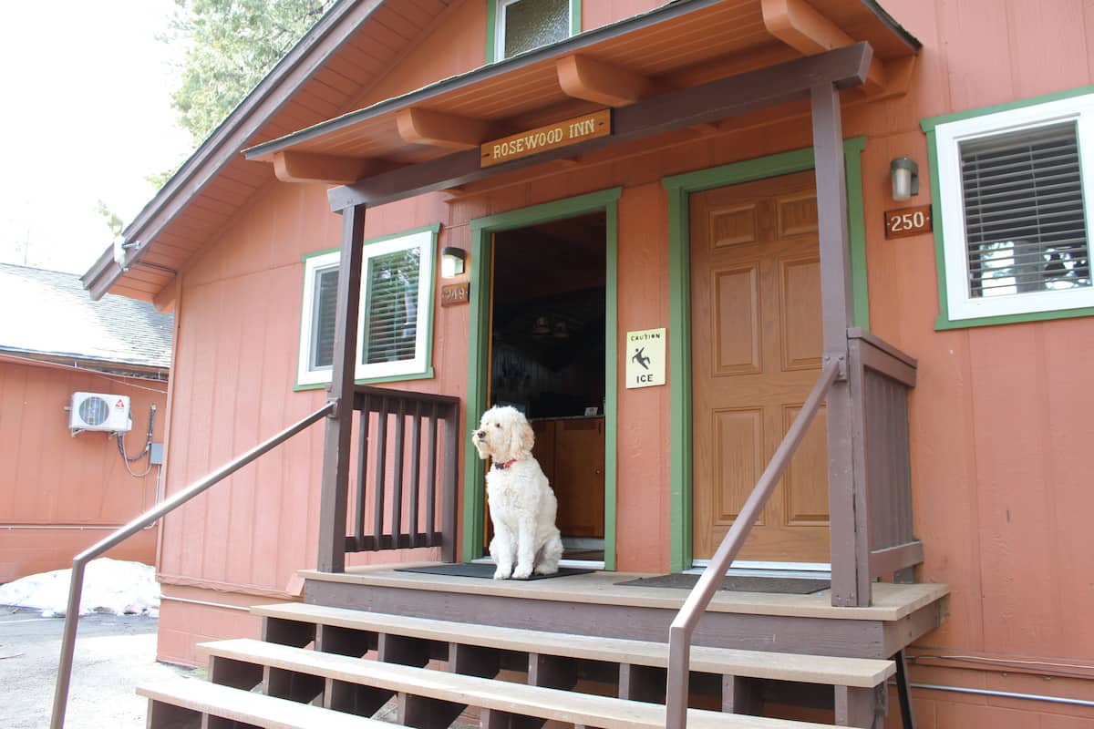 En hund sitter på en veranda med en skylt ovanför dörren där det står ”Rosewood Inn”.