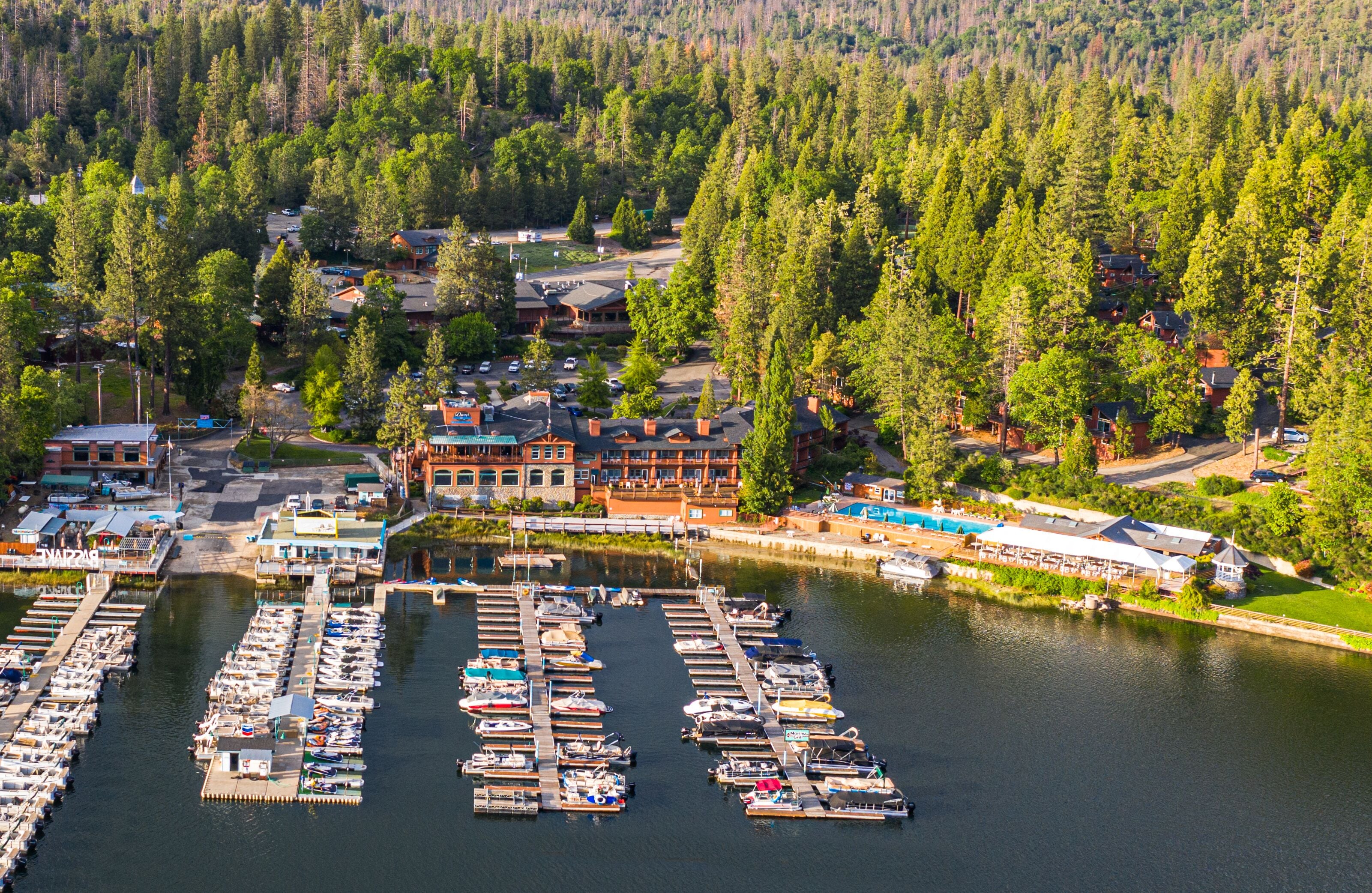 A marina with numerous boats docked, surrounded by residential buildings and dense forest.