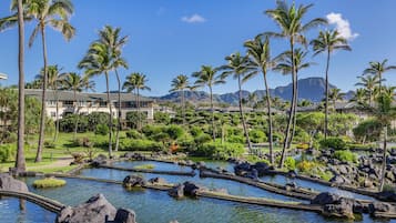 A resort with a water feature, palm trees, and mountains in the background.
