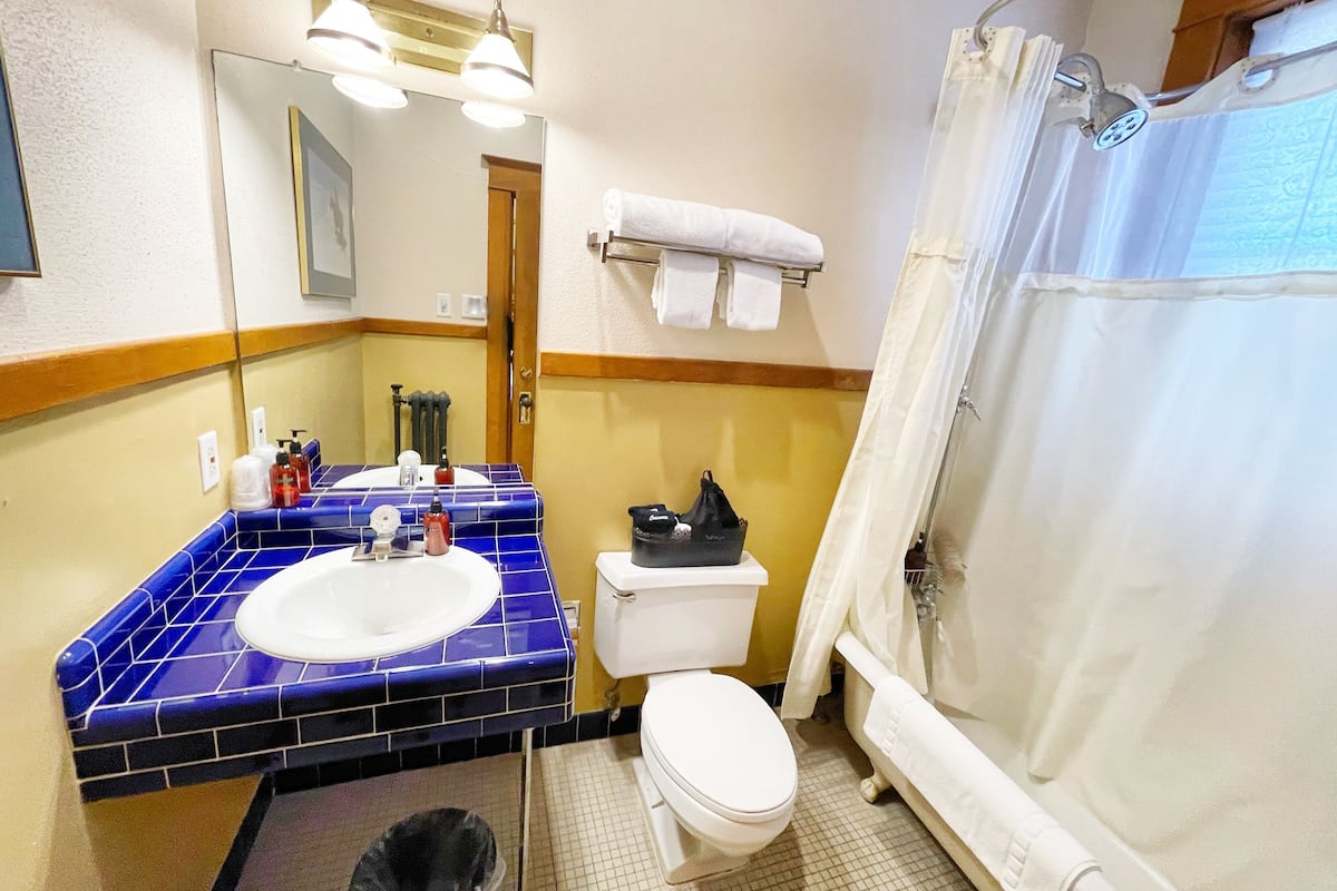 basic room, 1 queen bed | bathroom | combined shower/bathtub, designer toiletries, hair dryer, towels