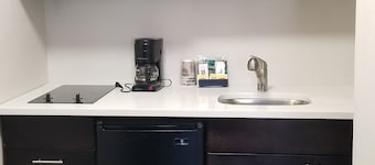 Hotel South Tampa & Suites