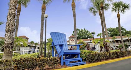 Hotel South Tampa & Suites