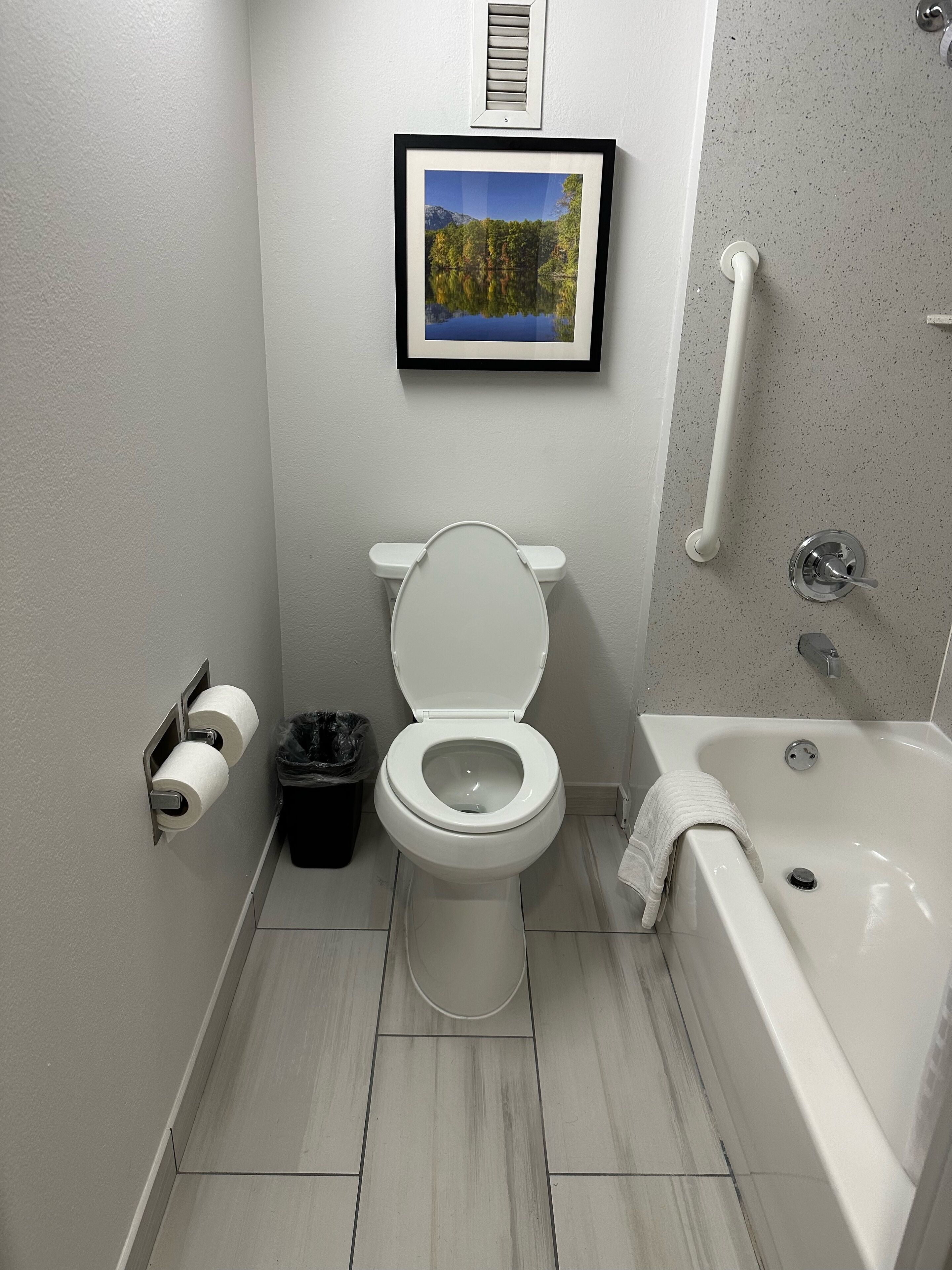 combined shower/bathtub, hair dryer, towels