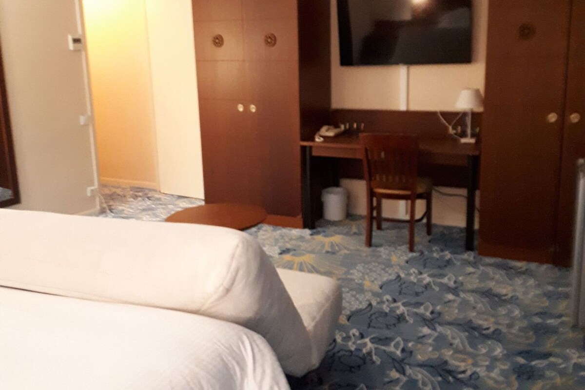 A hotel room with a bed, a desk, a chair, a TV, and wardrobes.