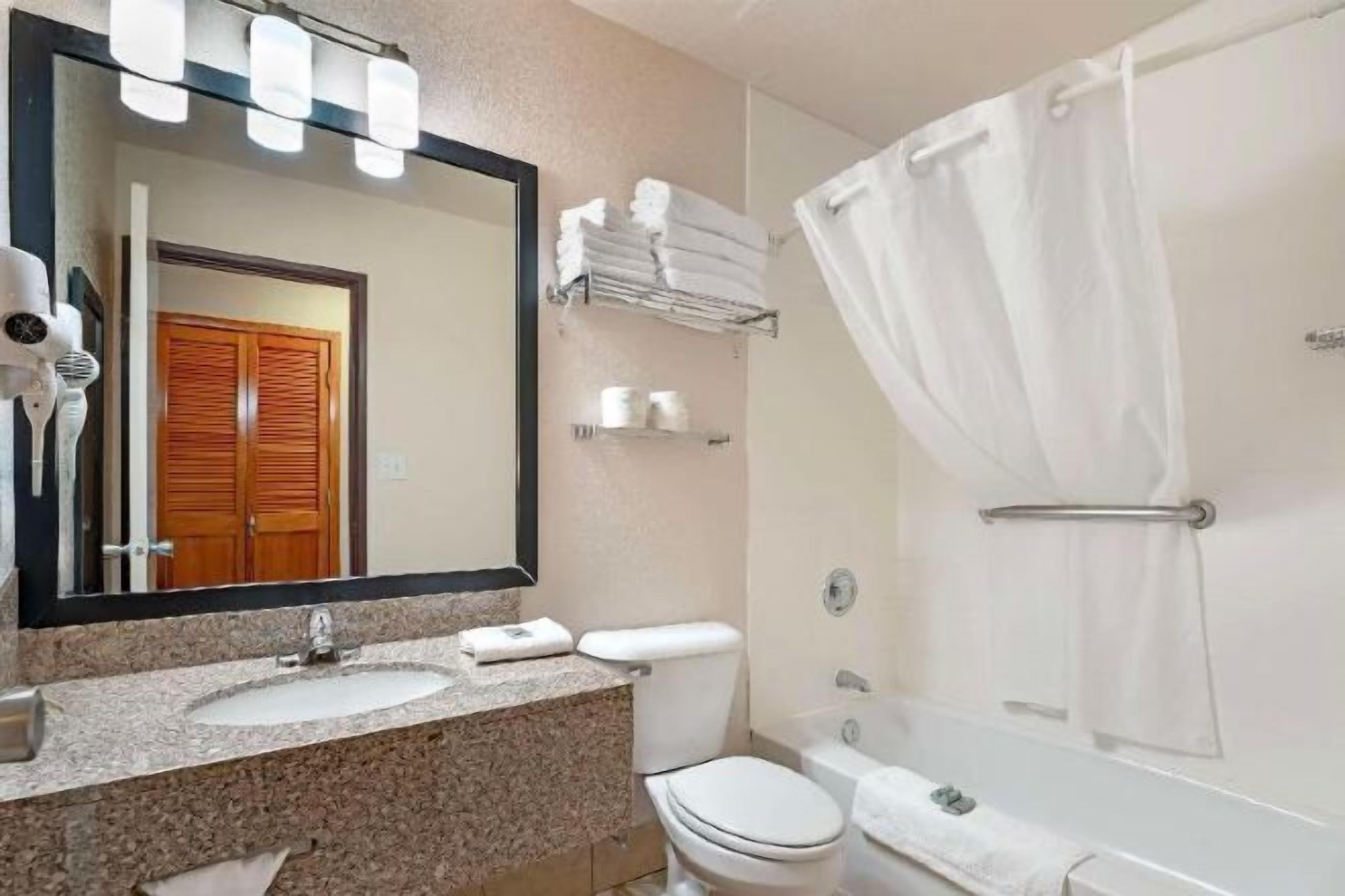 バスアメニティ (無料)、ヘアドライヤー、タオル