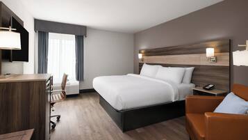 A hotel room with a bed, a desk, a chair, and a sofa.