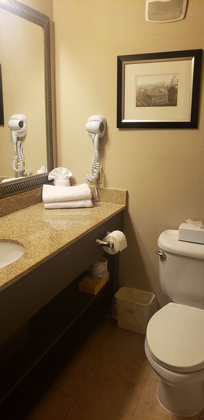 Combined shower/bathtub, free toiletries, hair dryer, towels