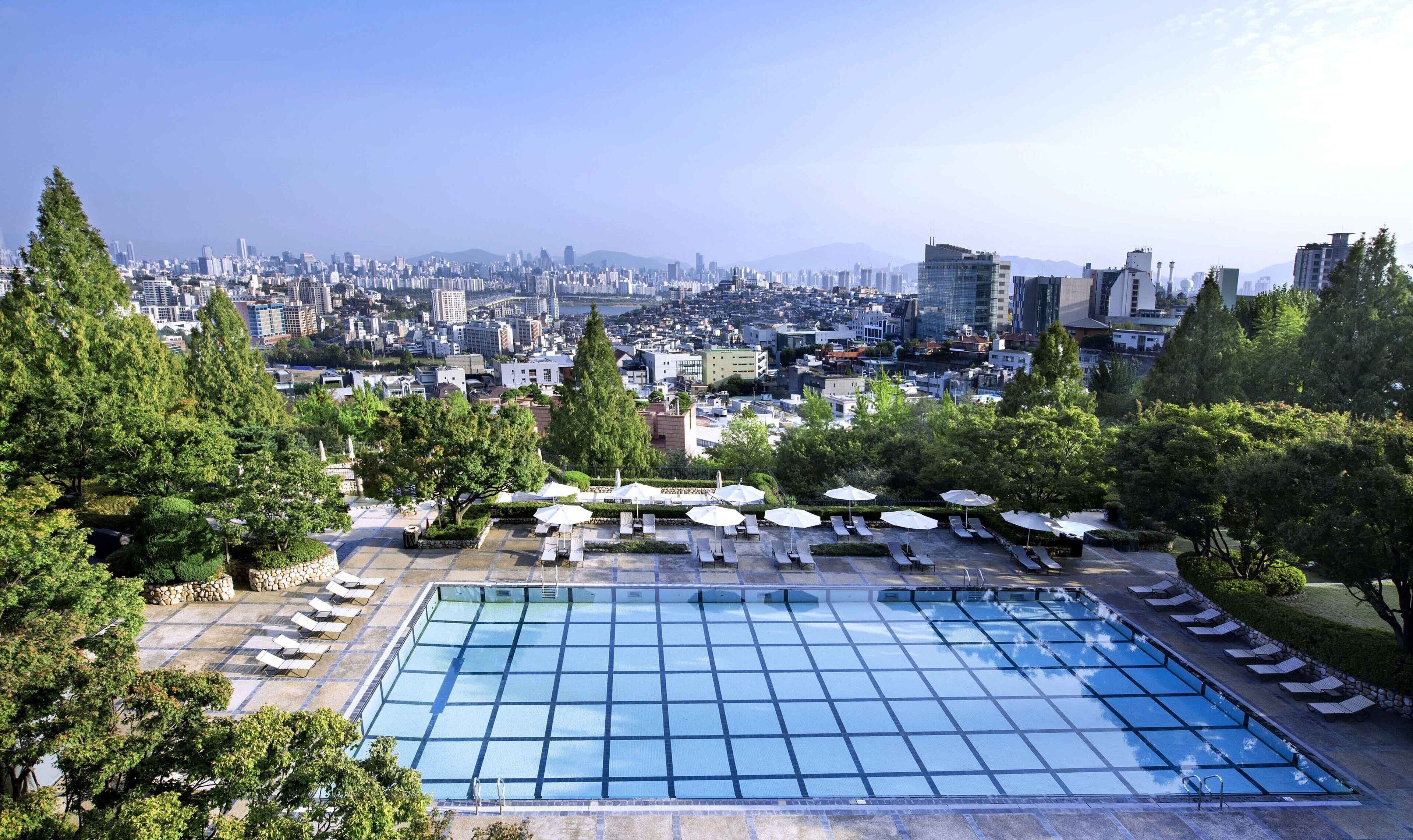 Uma piscina no terraço com espreguiçadeiras e guarda-sóis, cercada por árvores, com vista para uma paisagem urbana com edifícios e montanhas ao longe.