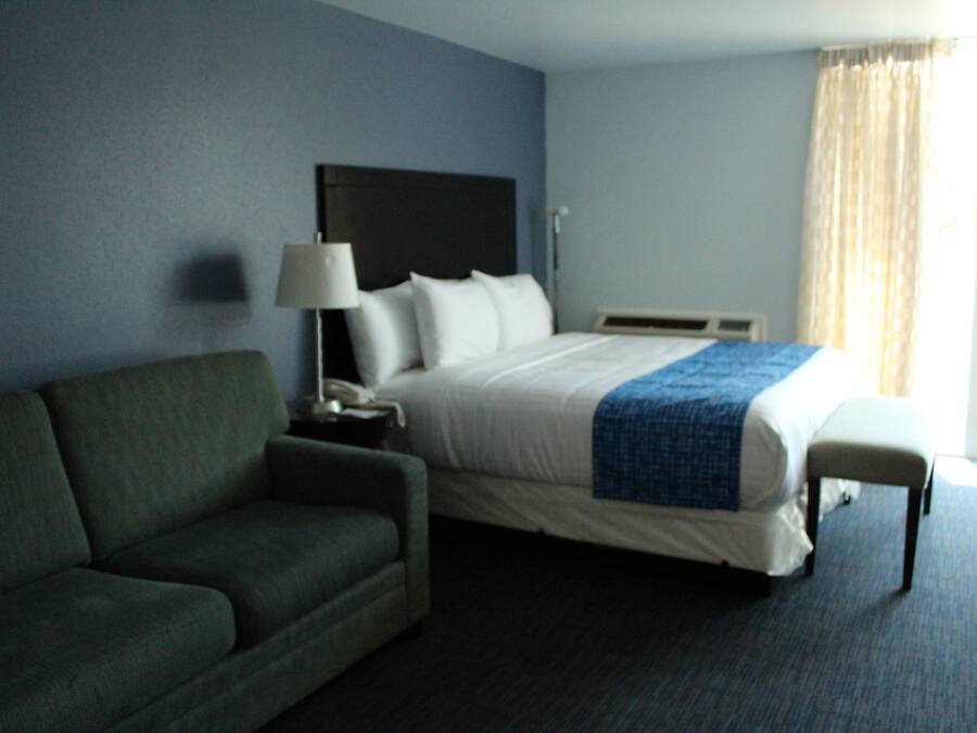 A hotel room with a bed, a green sofa, a bedside table with a lamp, and a window with curtains.