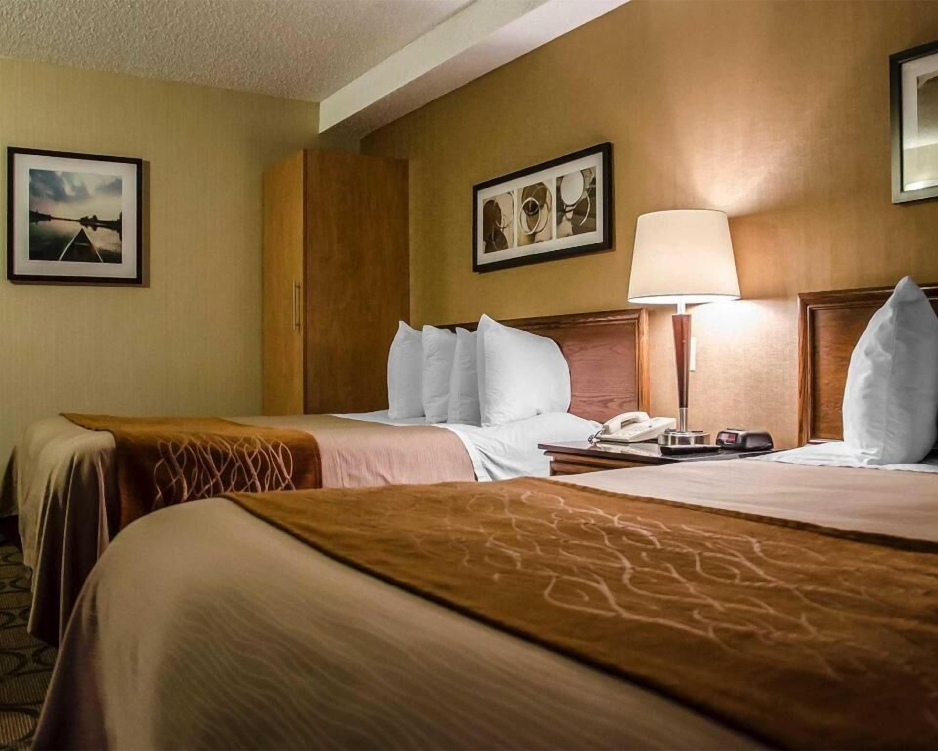 Premium bedding, pillow-top beds, individually furnished, desk