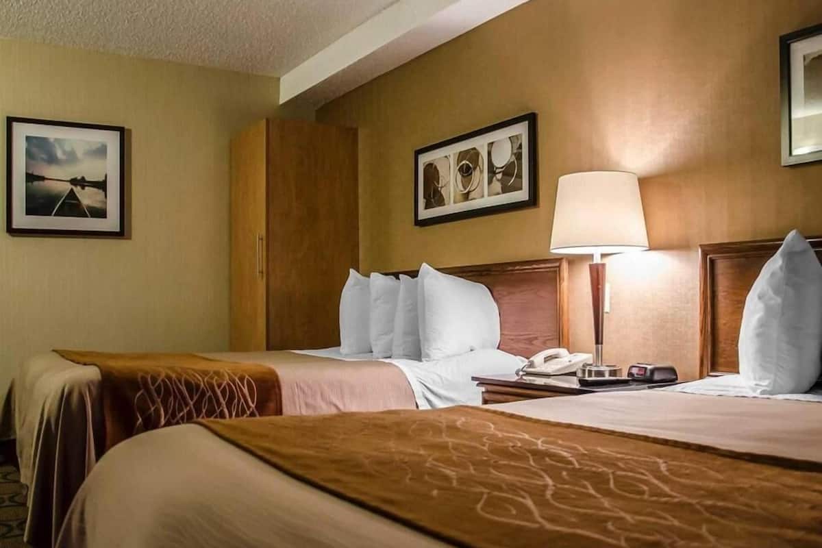 Premium bedding, pillow-top beds, individually furnished, desk