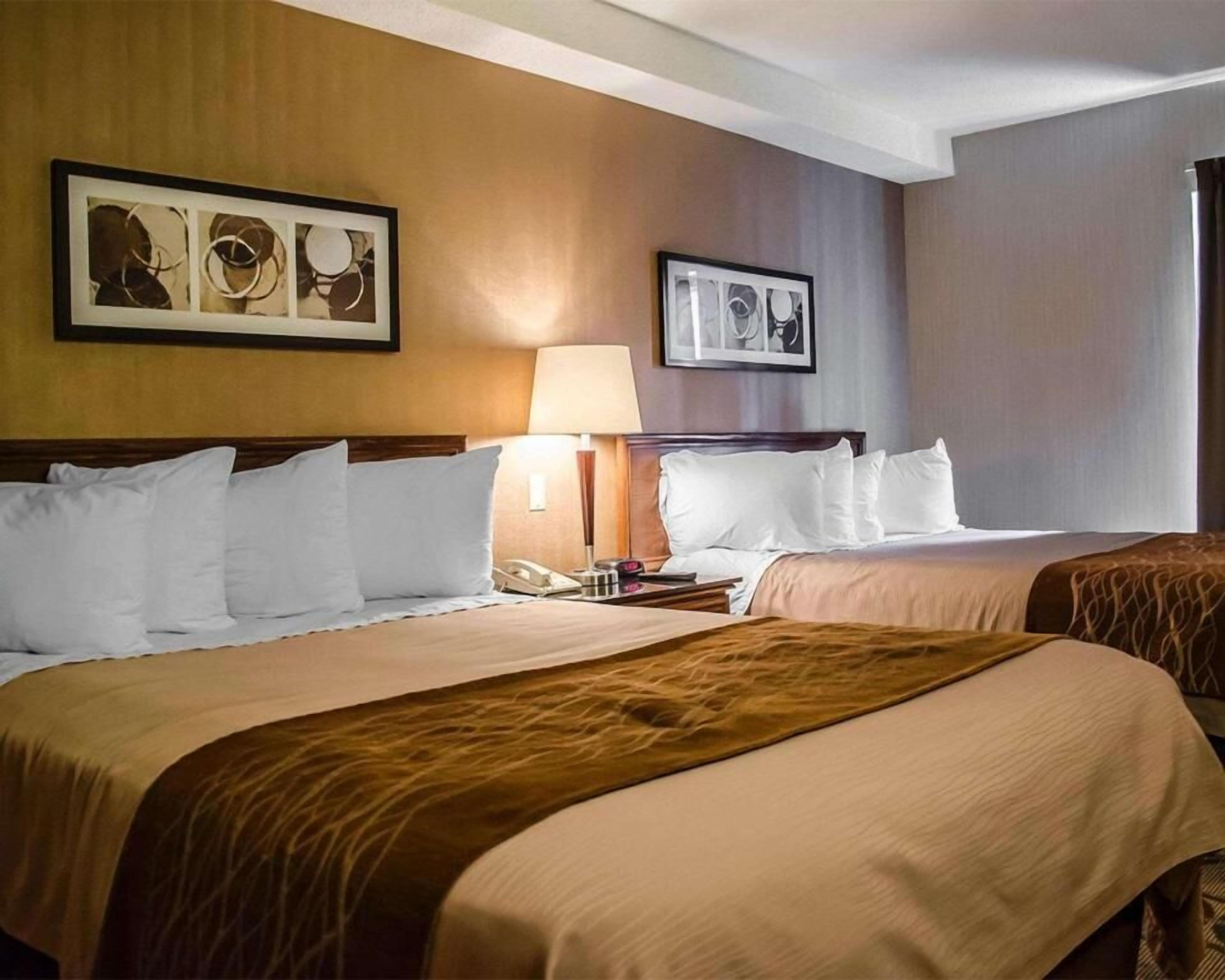 Premium bedding, pillow-top beds, individually furnished, desk