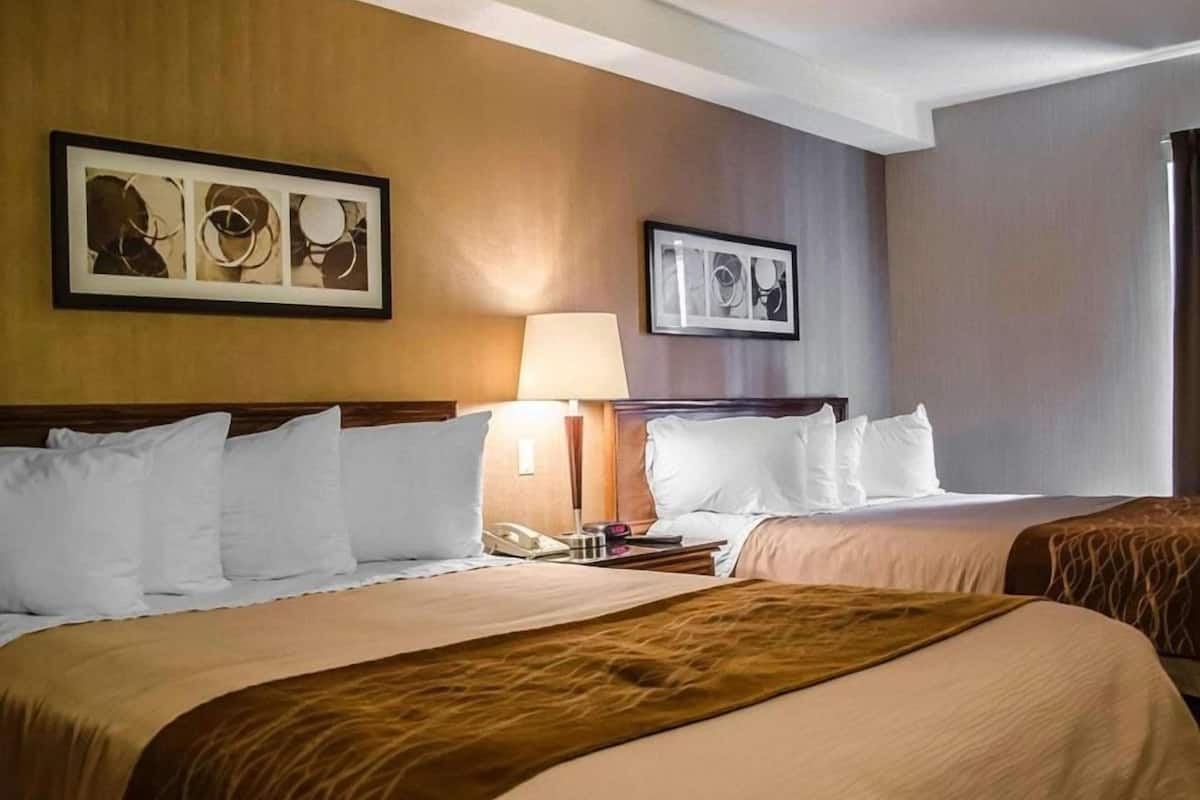 Premium bedding, pillow-top beds, individually furnished, desk