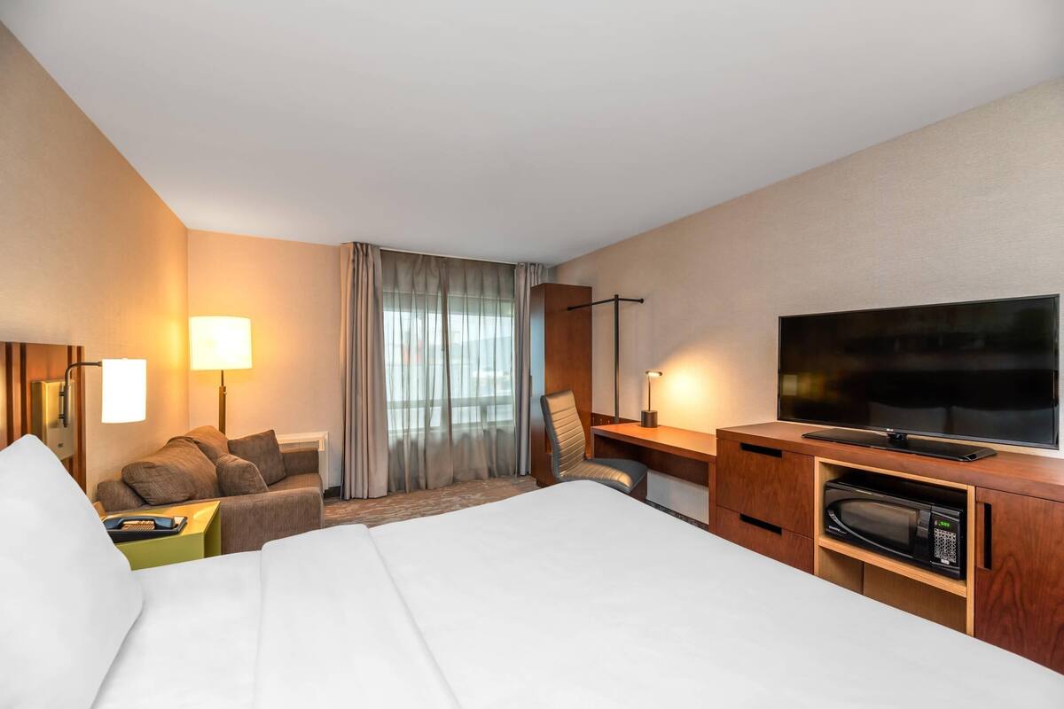 Room, 1 King Bed with Sofa bed