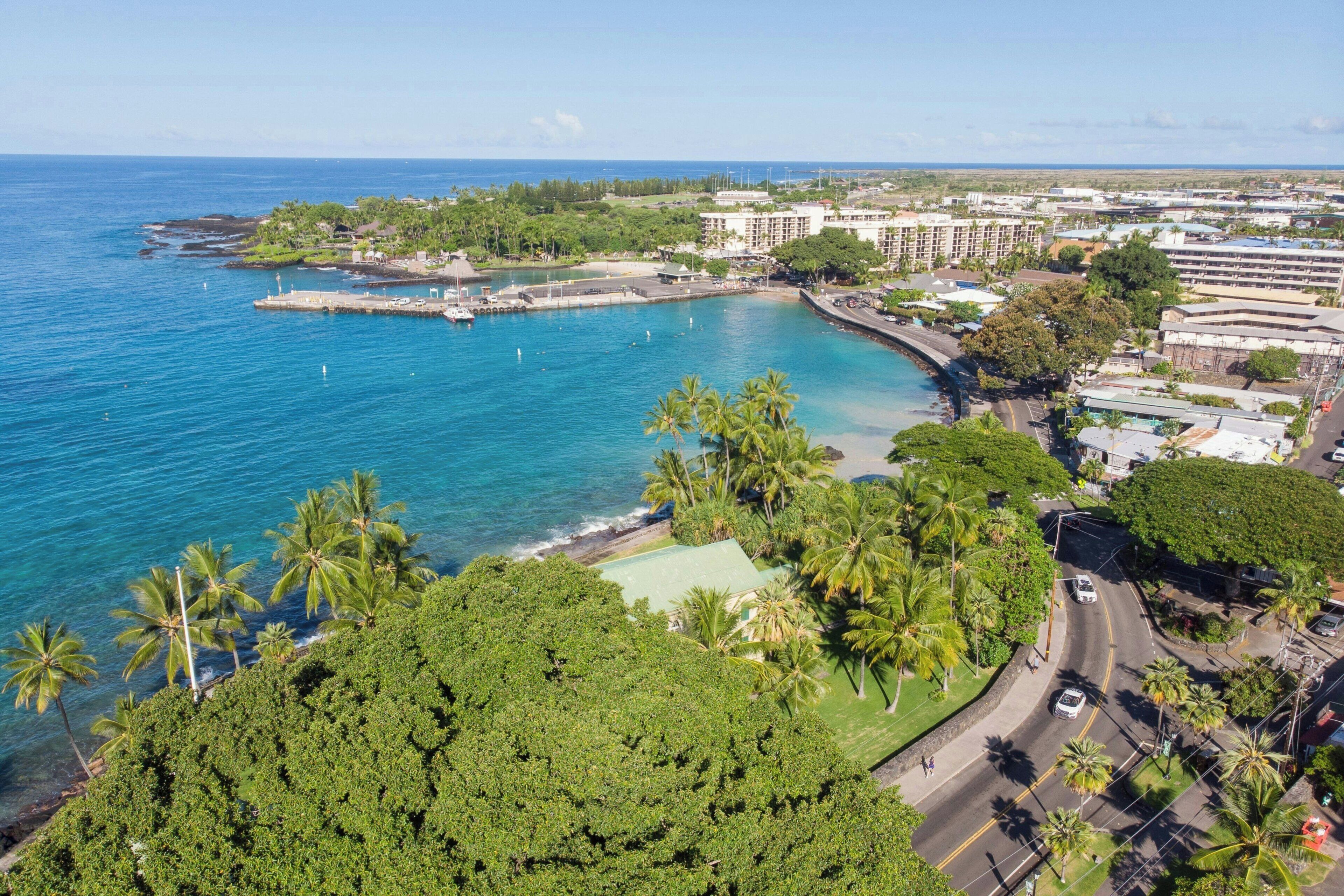 An aerial view of a coastal area with a marina, lush greenery, and a mix of residential and commercial buildings.