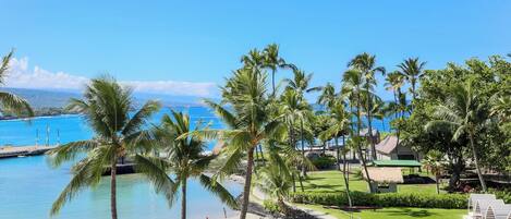 A beach resort with a pool, palm trees, and a view of the ocean.