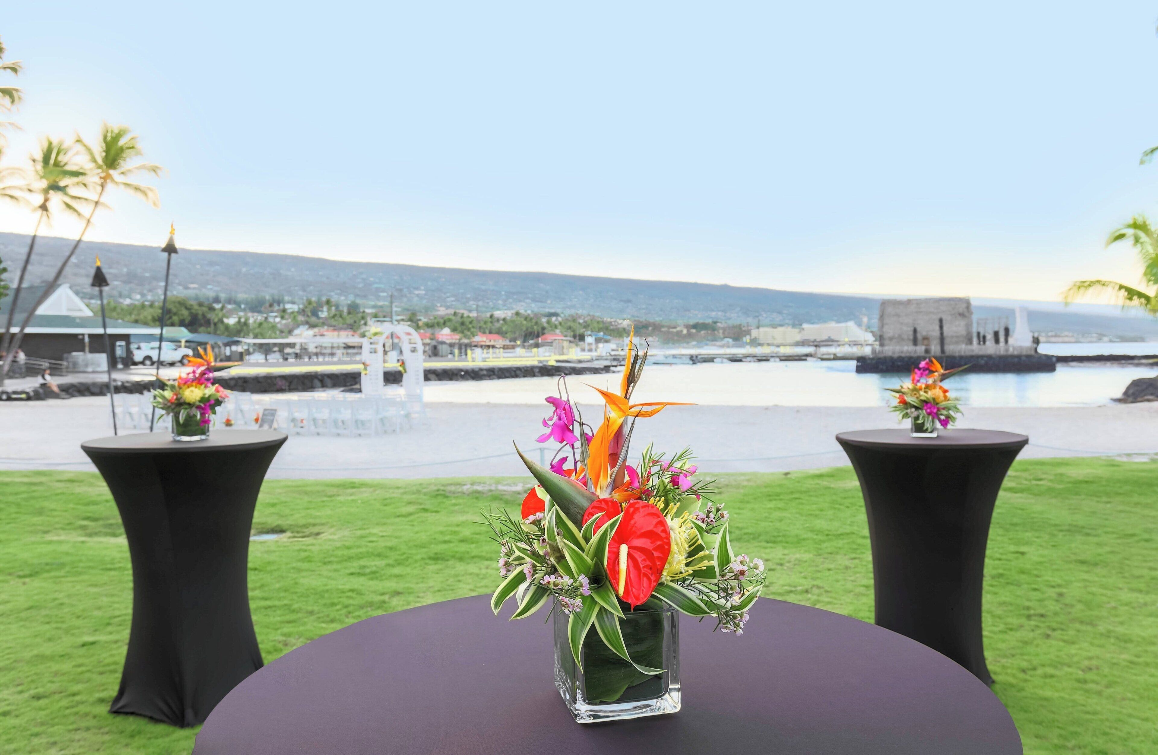 A table with a flower arrangement and a view of a coastal area with a fountain and buildings in the background.