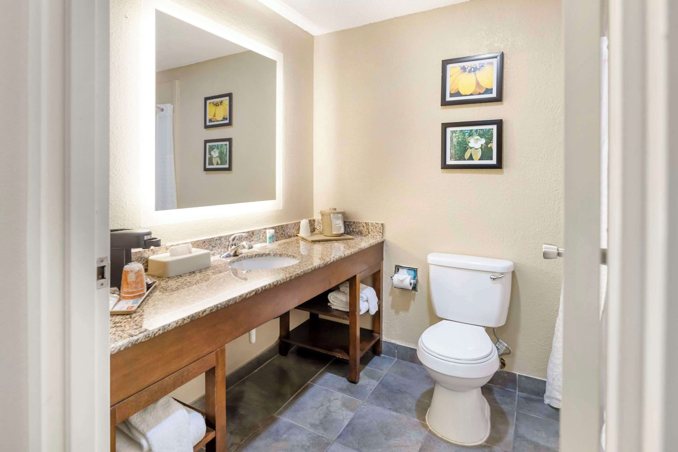 standard room, 2 double beds, non smoking | premium bedding, down duvets, pillow-top beds, iron/ironing board