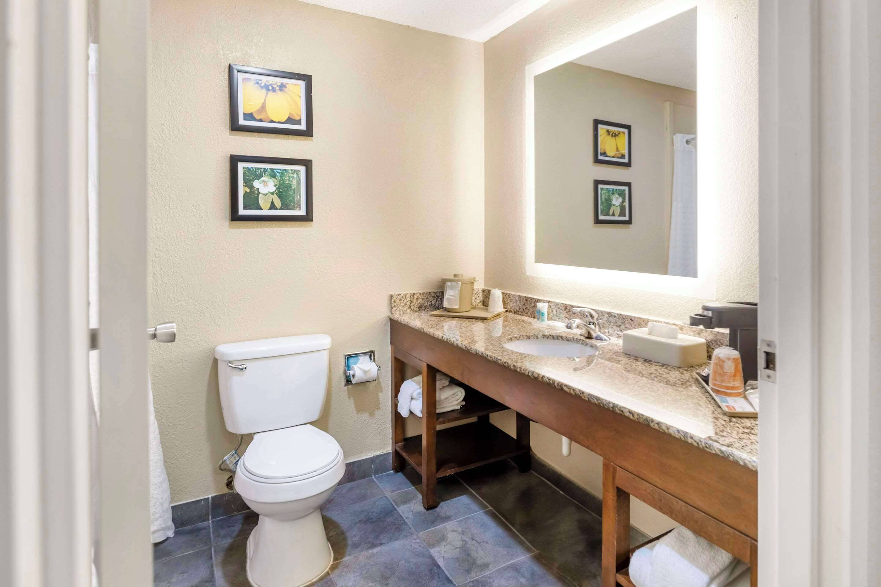 suite, 1 king bed with sofa bed, non smoking | premium bedding, down duvets, pillow-top beds, iron/ironing board