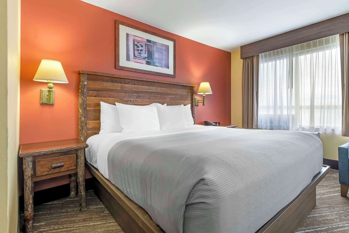 Standard Room, 1 King Bed, Non Smoking | Desk, iron/ironing board, free WiFi, bed sheets