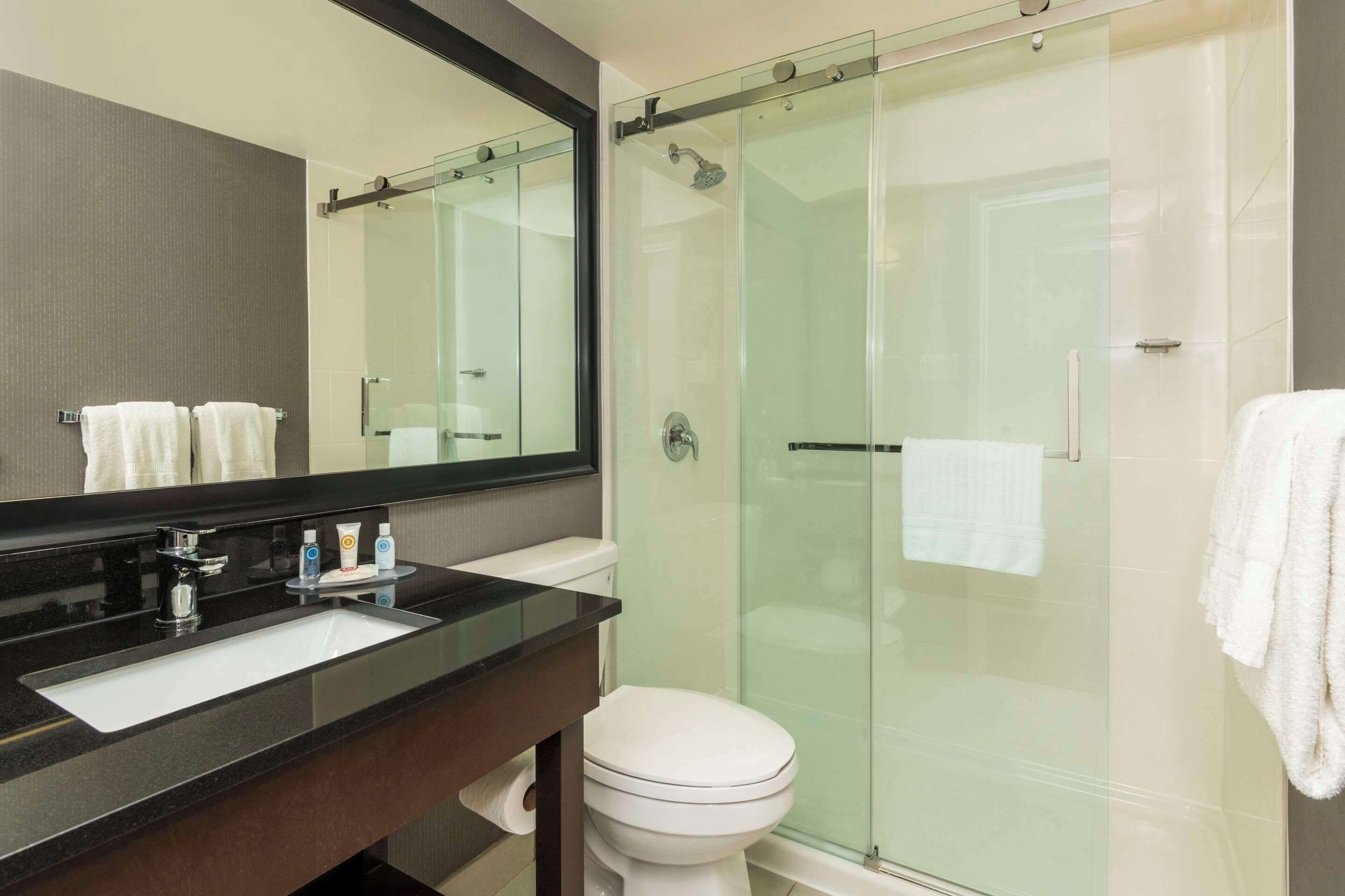 A modern bathroom with a glass-enclosed shower, a white toilet, and a black sink with a mirror above it.