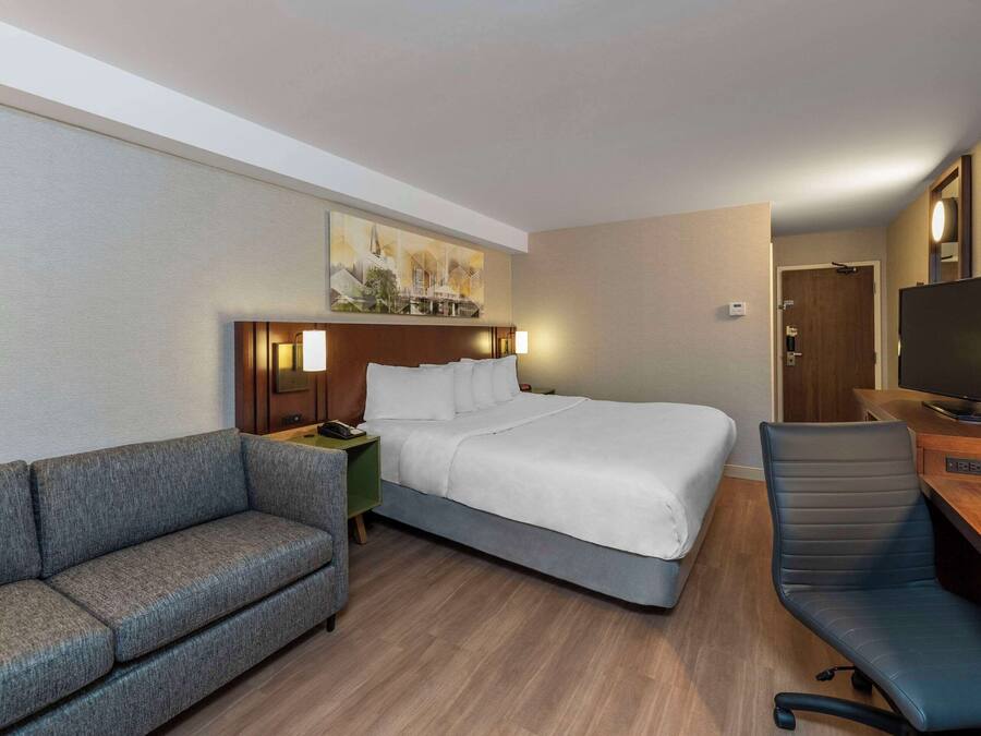 Et hotelværelse med en seng, en grå sofa, et skrivebord med stol, et fjernsyn og et billede på væggen.