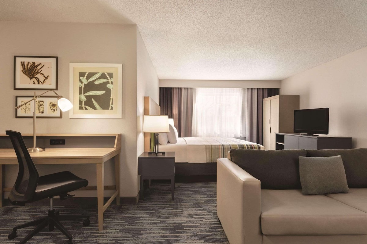 Habitación de hotel con cama, escritorio con silla, sofá, televisión y arte botánico enmarcados en la pared.