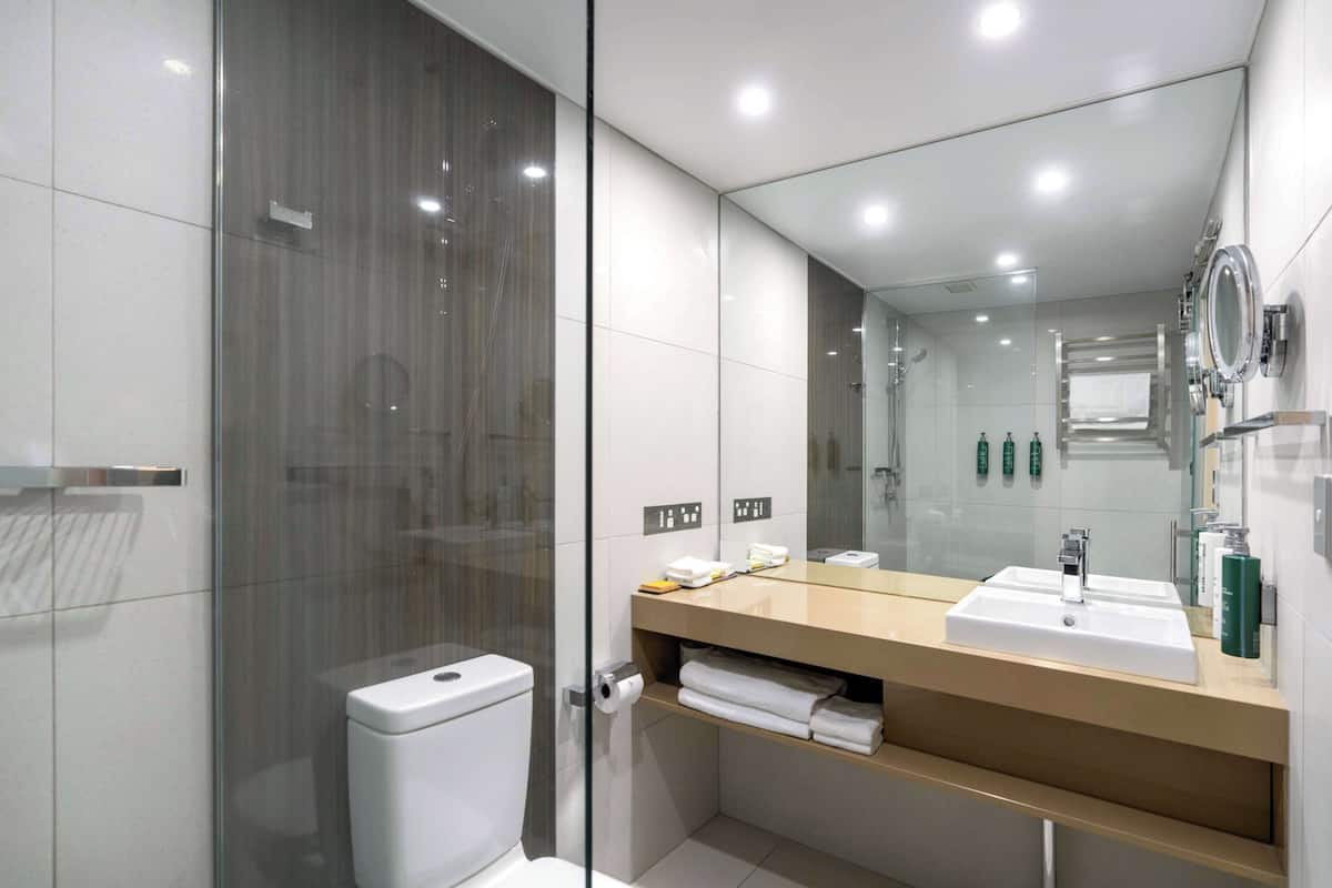 shower, free toiletries, hair dryer, towels