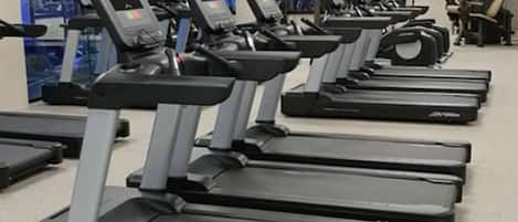 A row of treadmills in a gym with a mirrored wall and a television screen in the background.