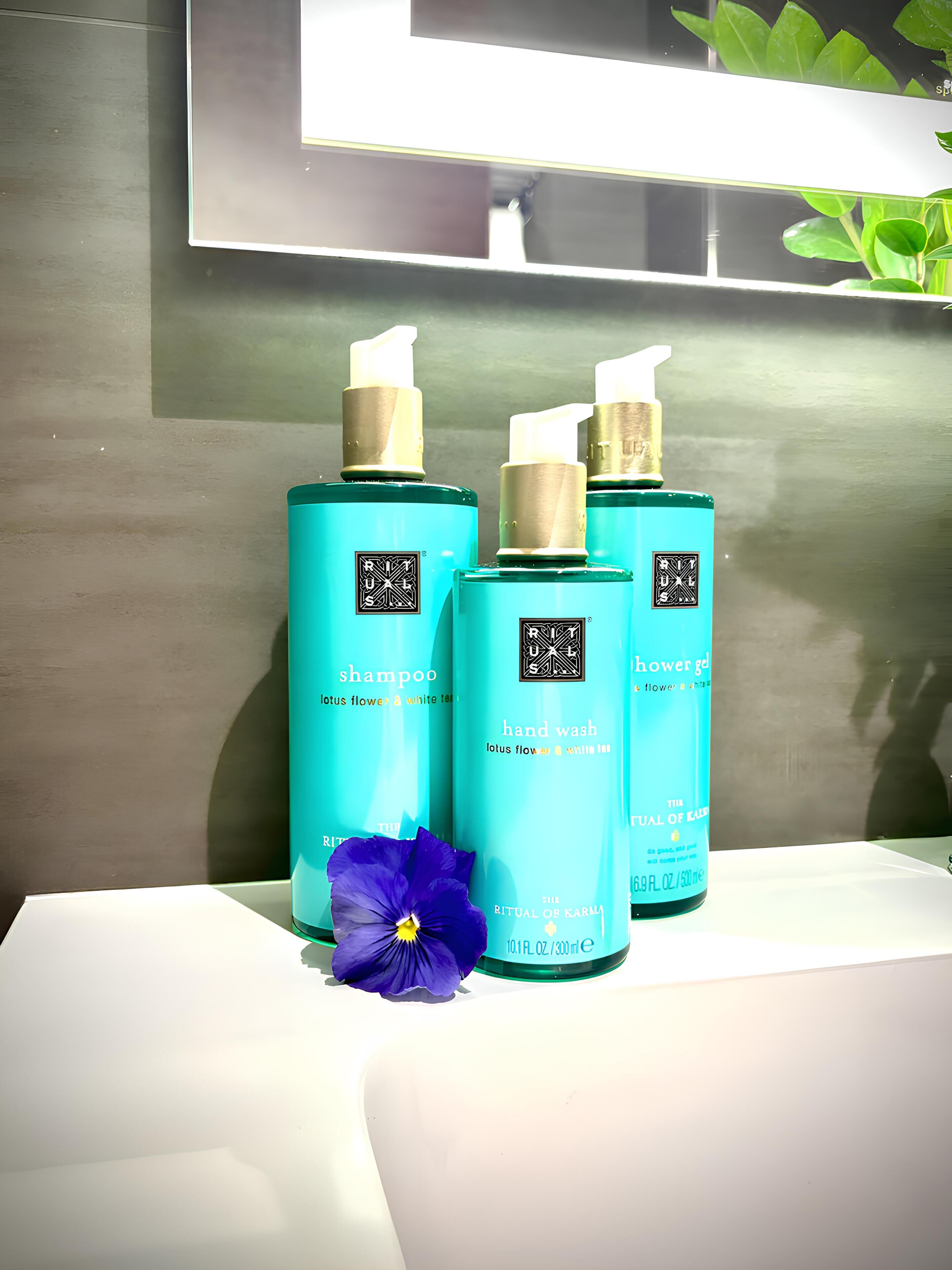 shower, eco-friendly toiletries, hair dryer, bidet