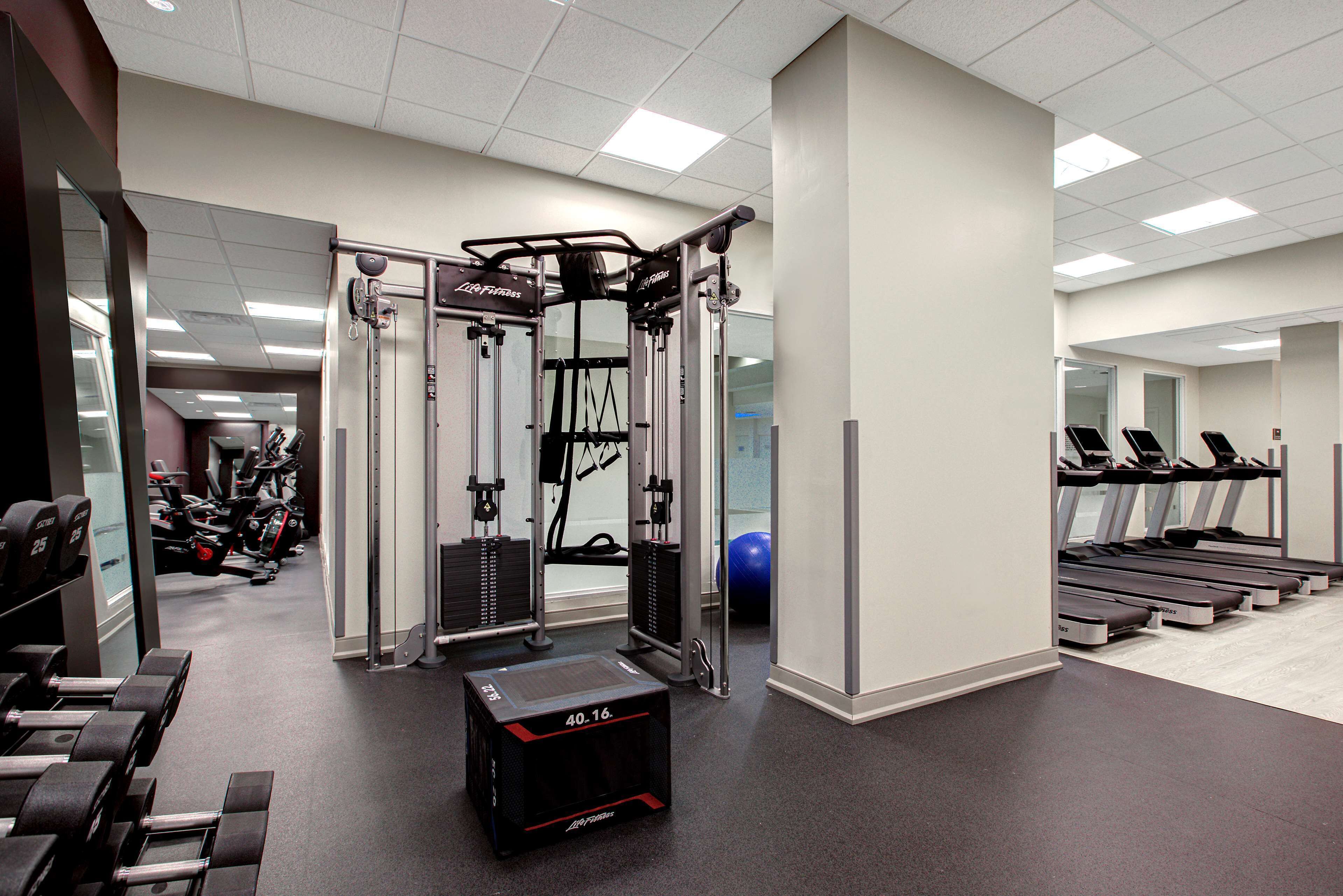 Een fitnessruimte met krachtapparaten, loopbanden en een squats rek.